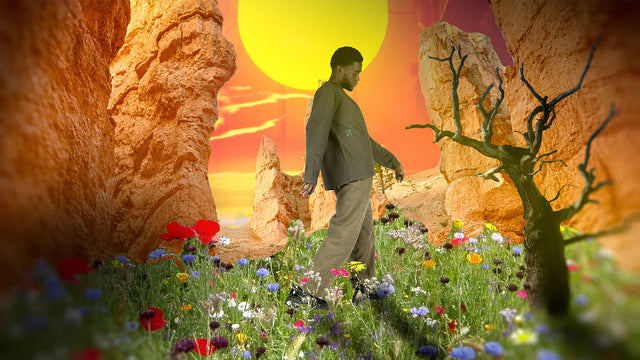 Achilles and the Tortoise essentials garden of eden banner