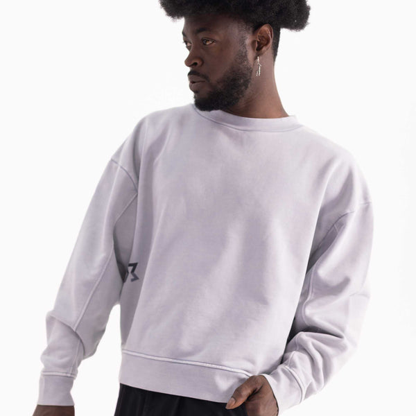Shop Logo Crewneck Grey – Achilles and the Tortoise